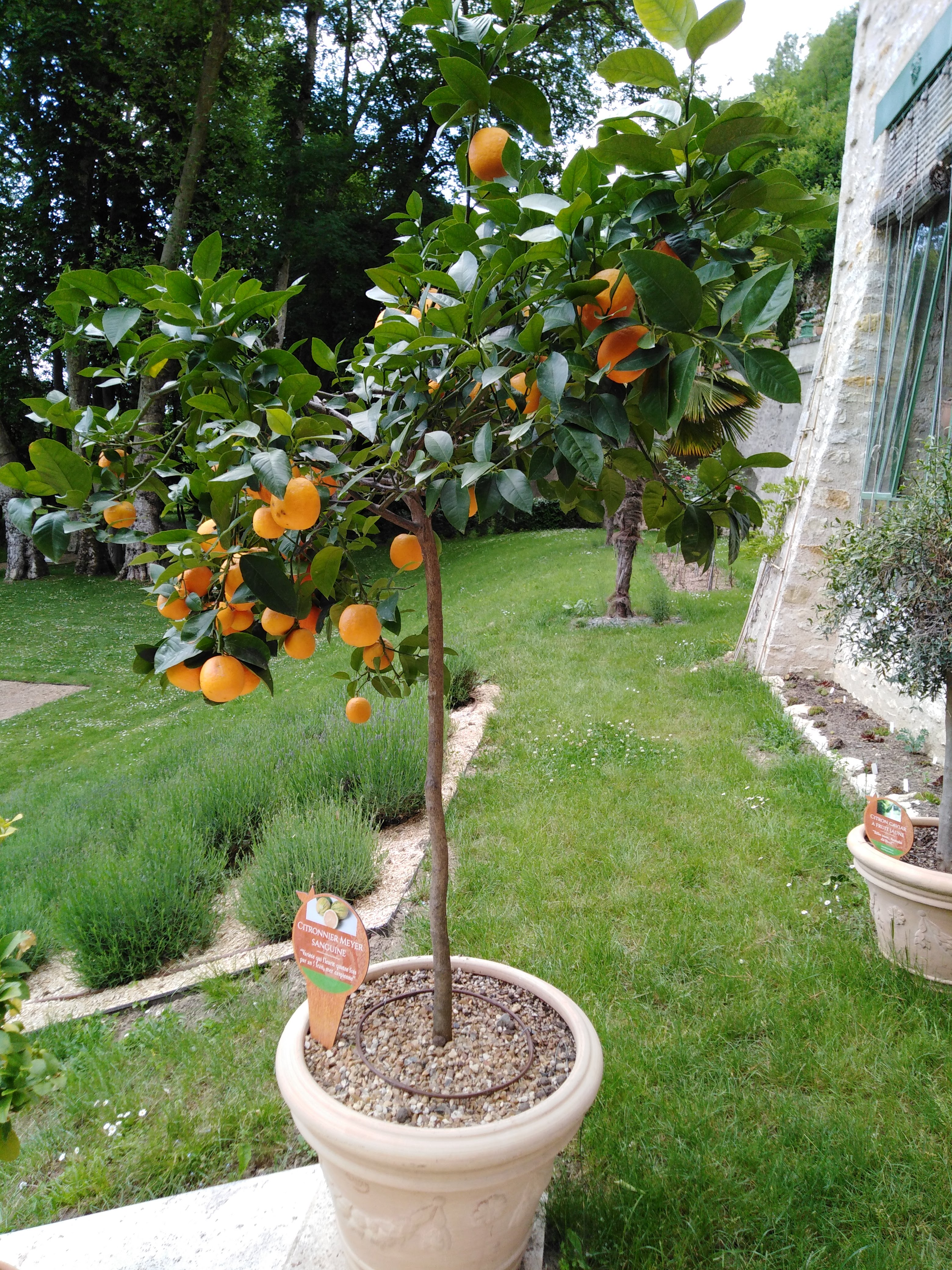 Photo n° 12 de l'avis de Josette.i fait le 07/06/2019 à 07:16