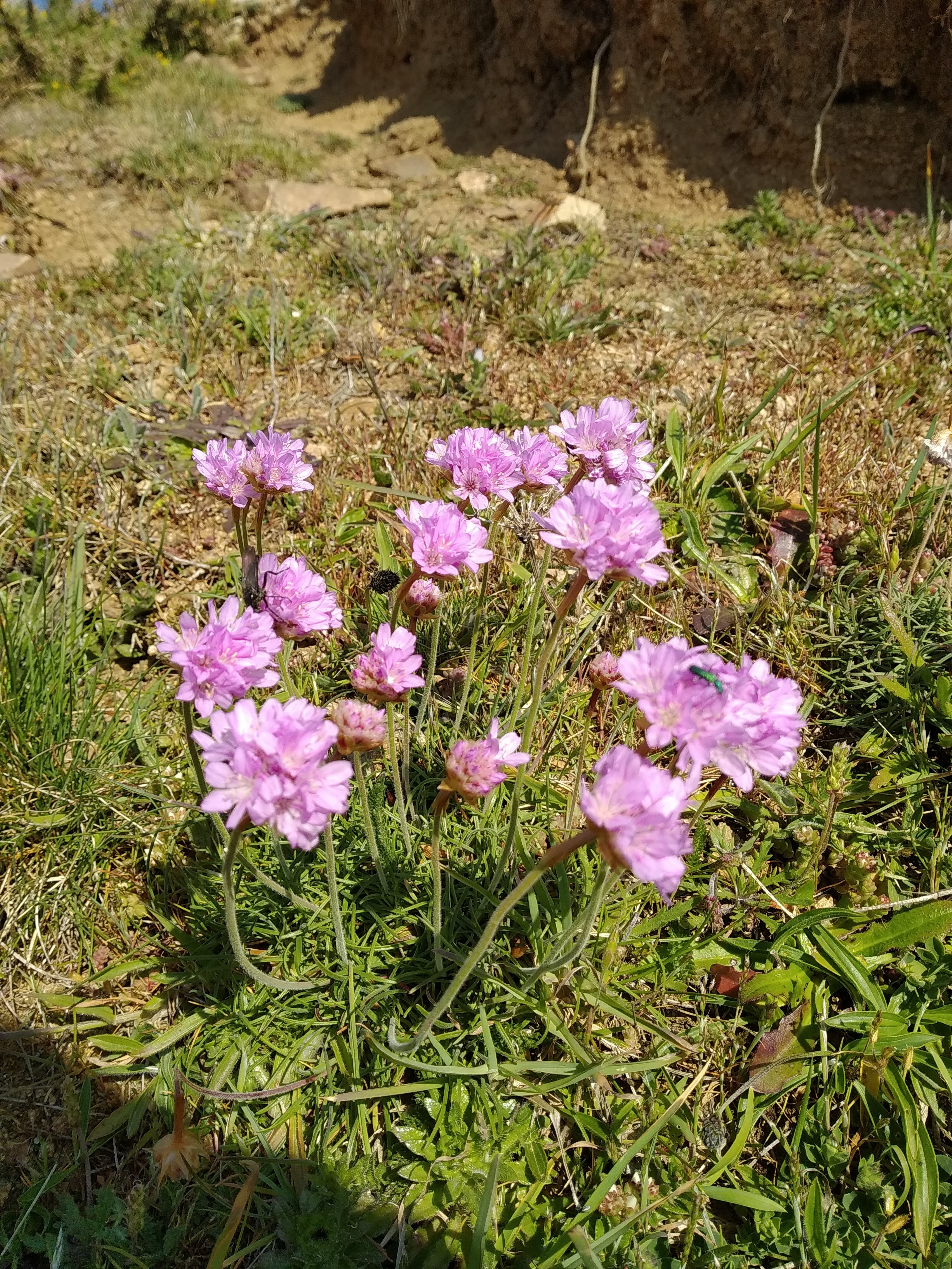 Photo n° 3 de l'avis de jean-yves.o fait le 14/05/2019 à 16:35