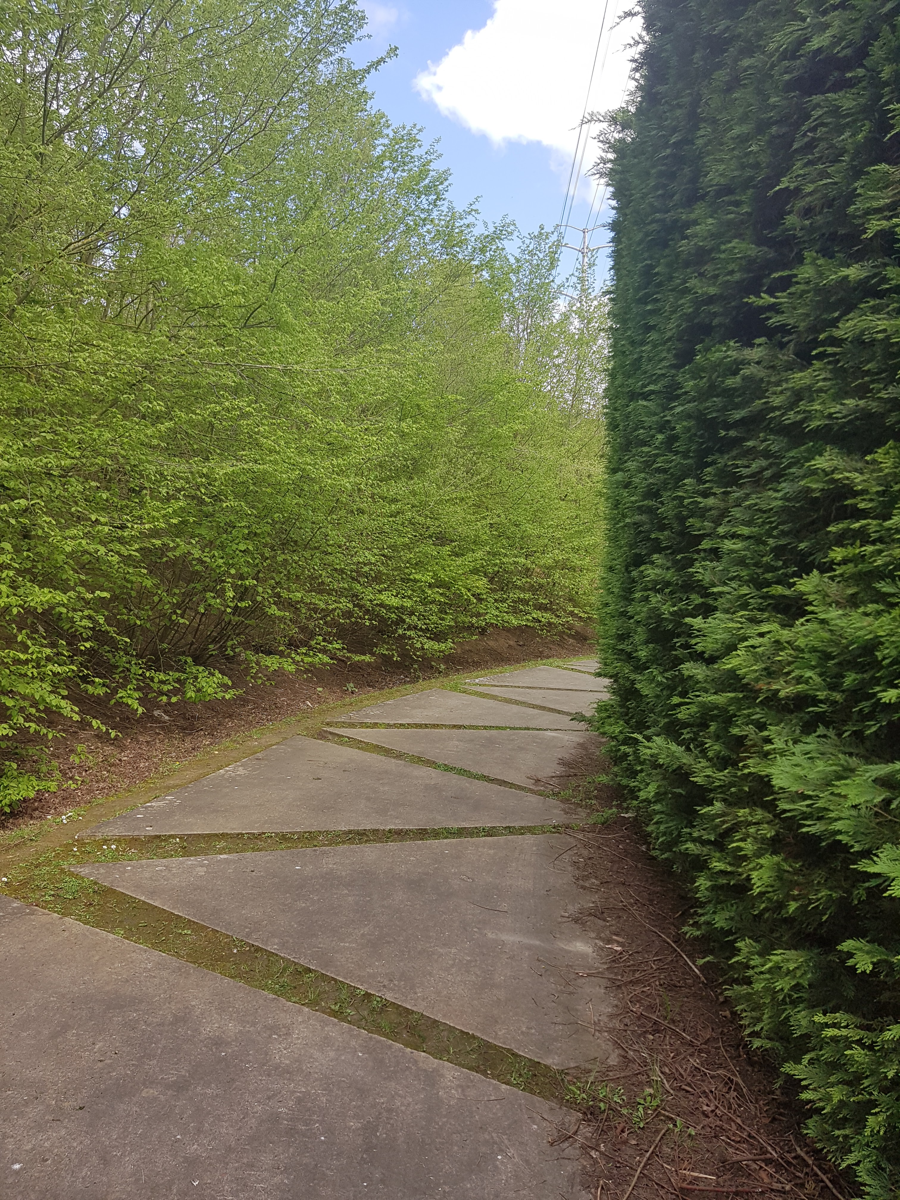Photo n° 16 de l'avis de Mériame. fait le 16/04/2018 à 15:22