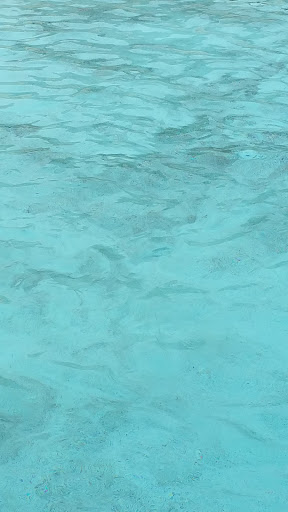 Theme Park «Lake Compounce», reviews and photos, 186 Enterprise Dr, Bristol, CT 06010, USA