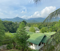 Golden Hill Resort photo