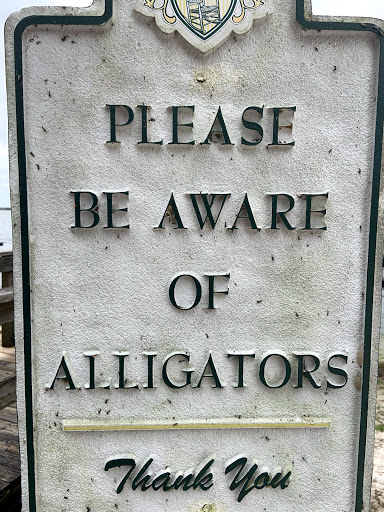 Tourist Attraction «Premier Boat Tours», reviews and photos, 100 Alexander St, Mt Dora, FL 32757, USA