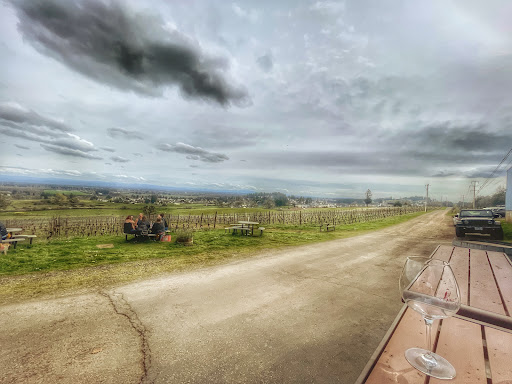 Winery «Redhawk Vineyard & Winery», reviews and photos, 2995 Michigan City Ln NW, Salem, OR 97304, USA