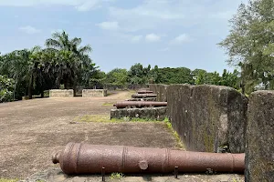 Historical firing cannon image