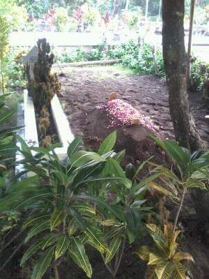 Makam K.H.M Djahri