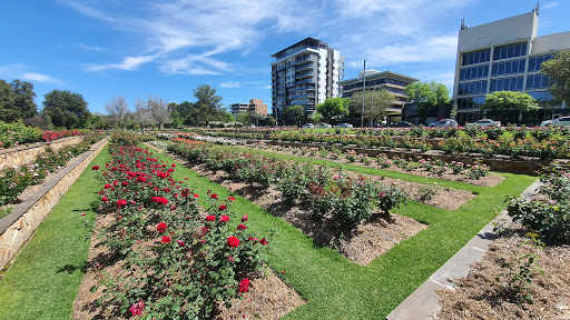 Veale Gardens