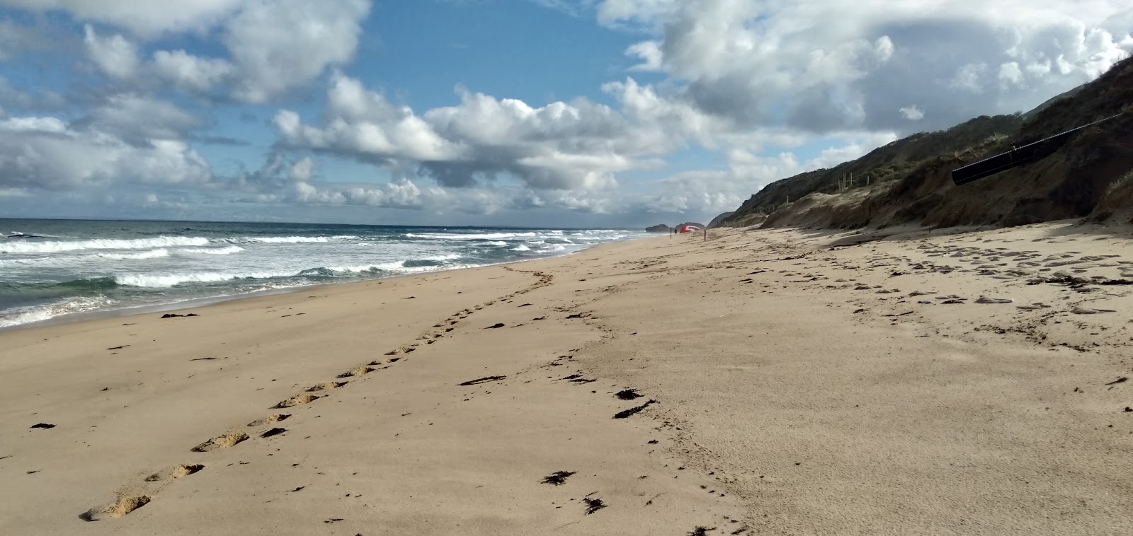 Photo de Portsea Surf Beach - endroit populaire parmi les connaisseurs de la détente