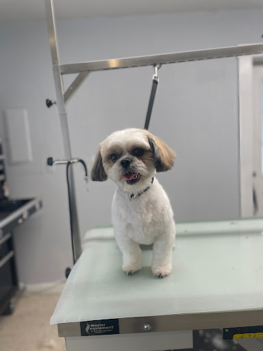 K9 Creations Dog Grooming