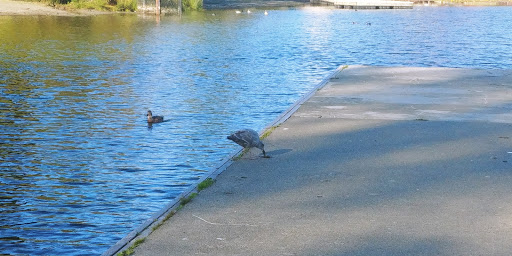 Park «Angle Lake Park», reviews and photos, 19408 International Blvd, SeaTac, WA 98188, USA