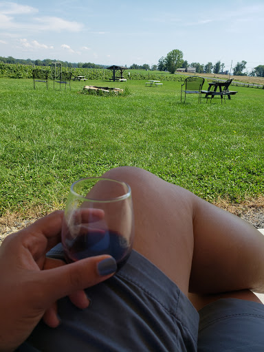 Winery «Snow Farm Vineyard & Winery», reviews and photos, 190 W Shore Rd, South Hero, VT 05486, USA