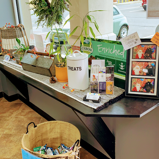 Pet Supply Store «H3 Pet Supply», reviews and photos, 475 Hawley Ln, Stratford, CT 06614, USA