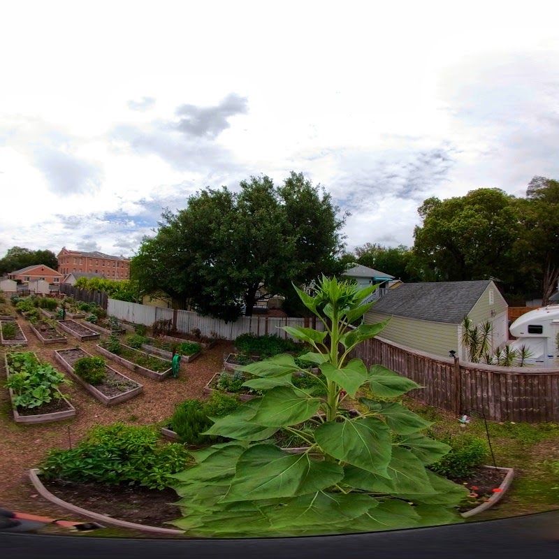 Lake Eola Heights Community Garden