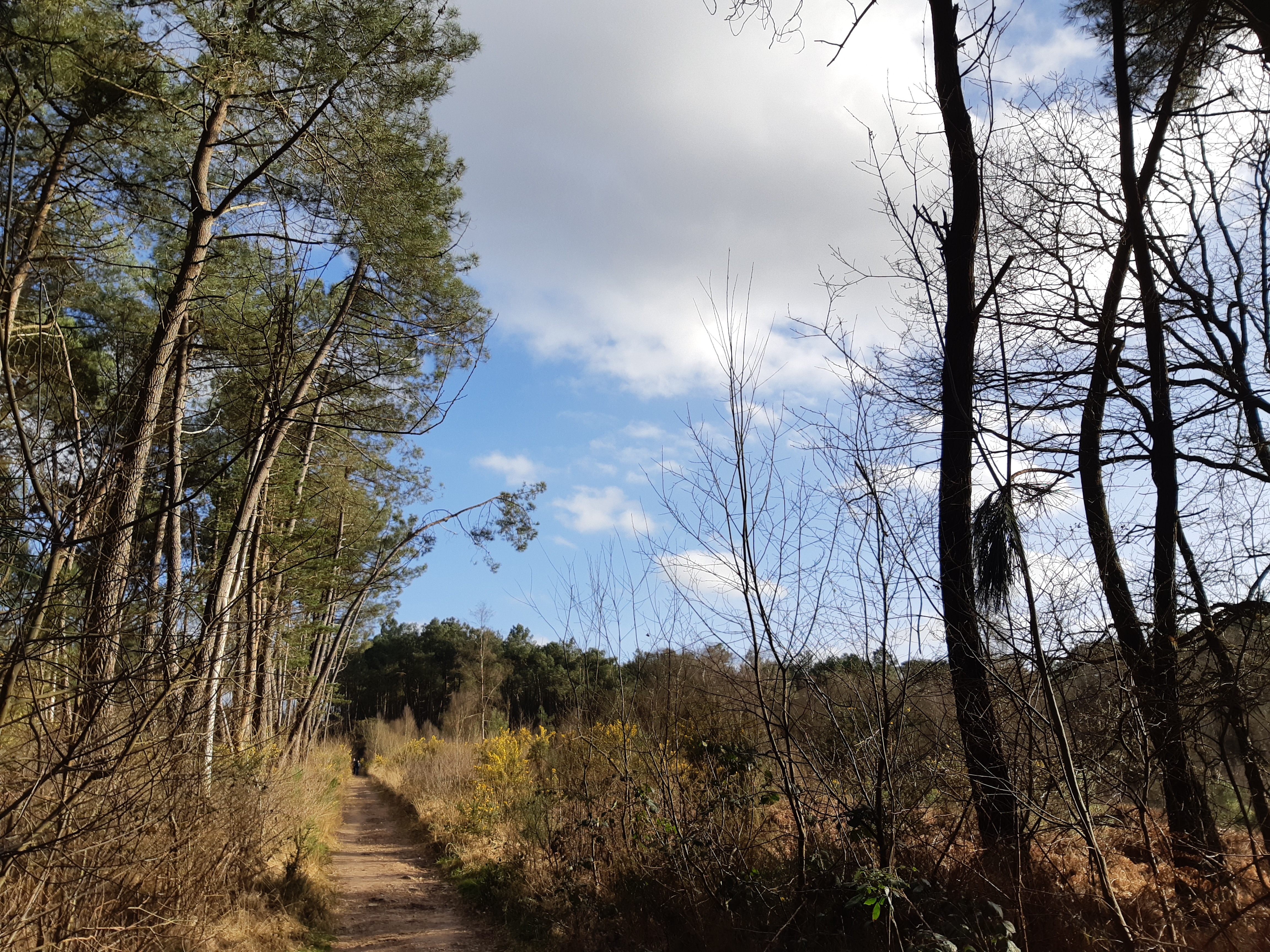 Photo n° 2 de l'avis de Jean-Paul.o fait le 10/03/2019 à 18:01