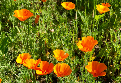 Movie Theater «McMenamins Power Station Theater & Pub», reviews and photos, 2126 SW Halsey St, Troutdale, OR 97060, USA