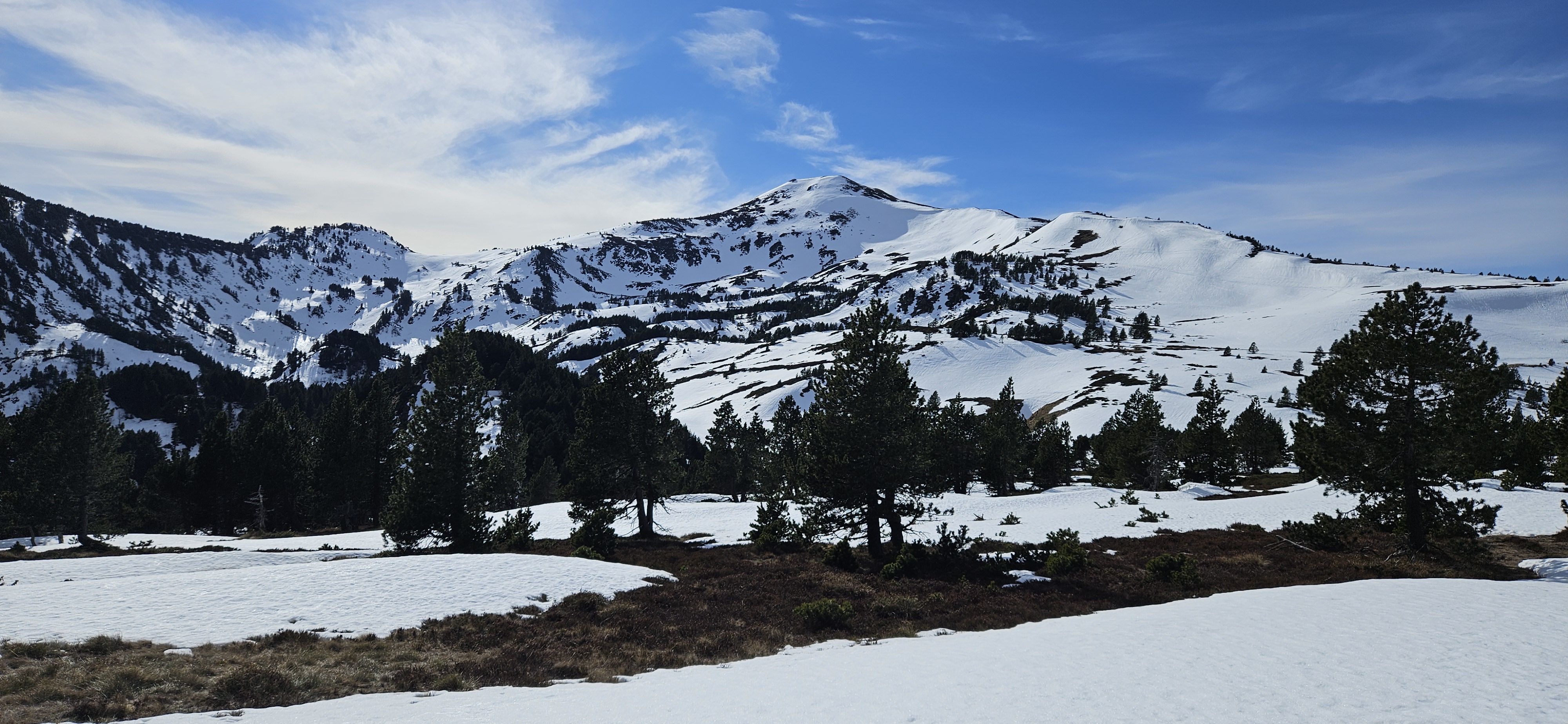 Photo n° 2 de l'avis de Théophane. fait le 09/02/2024 à 18:36