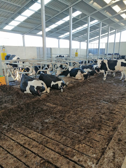 Albayrak tarım ve hayvancılık damızlık süt sığır işletmesi
