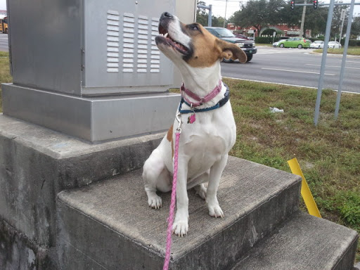 Computer Store «E2 Computers», reviews and photos, 40347 US Hwy 19 N #125, Tarpon Springs, FL 34689, USA