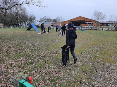 Les Sorinières - Club d'éducation Canine et Sportive à Les Sorinières