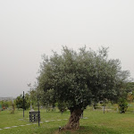 Photo n°10 de l'avis de Alessandro. fait le 22/04/2019 à 09:11 sur le  CHALET à Rome