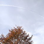 Photo n°2 de l'avis de Matteo.e fait le 31/10/2022 à 13:23 sur le  Ristorante Gasthof Irenberg à Pfalzen