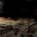 Photo n°1 de l'avis de Simon. fait le 11/12/2022 à 13:18 sur le  Pizza Social Club à Hamburg