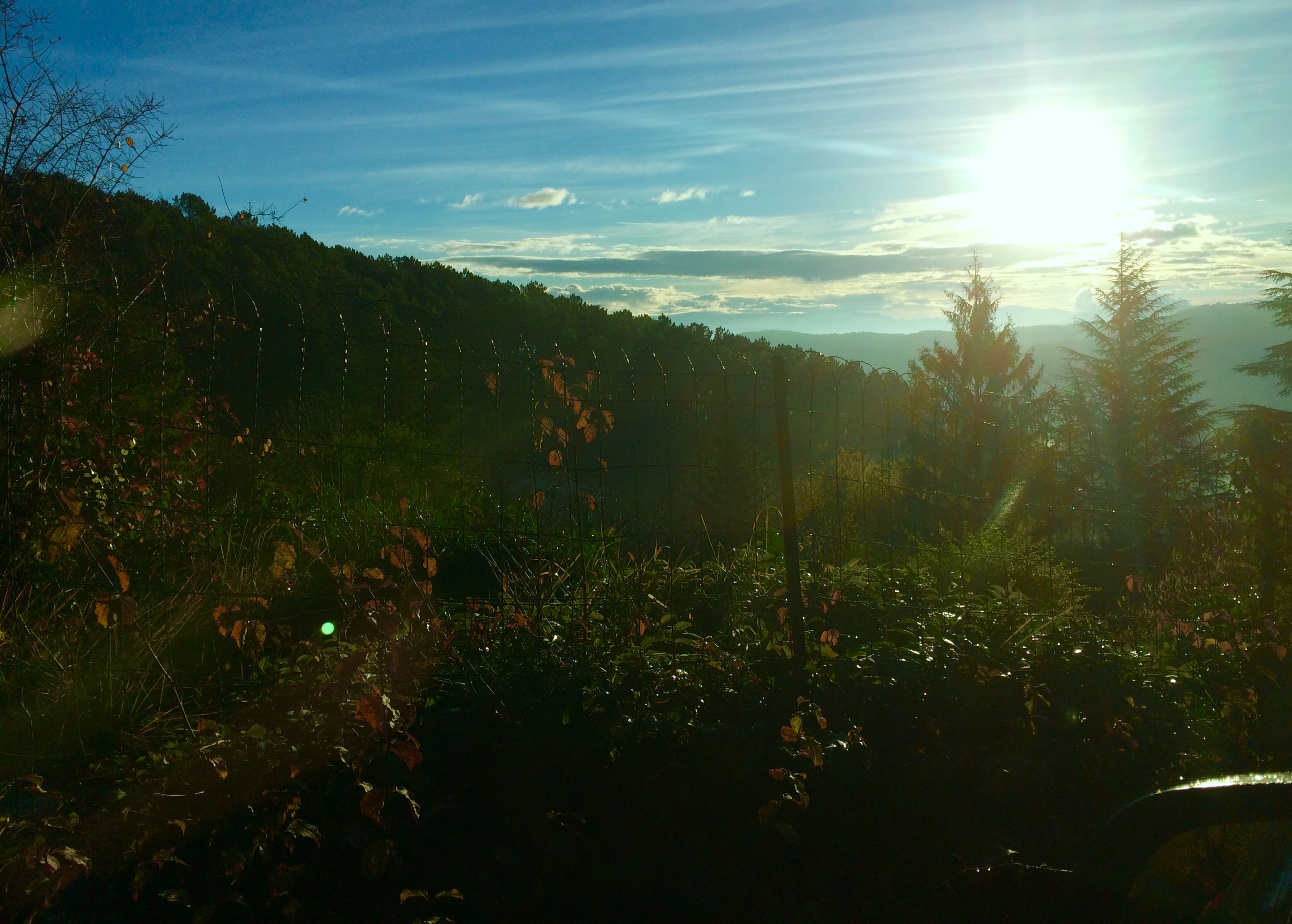 Photo n° 3 de l'avis de HELENE.N fait le 05/01/2019 à 11:51