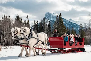 Banff Trail Riders - Stables image