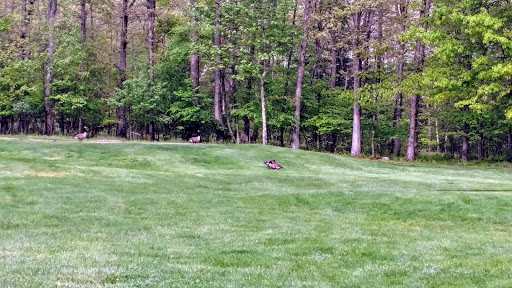 Golf Course «Blue Ridge Trail Golf Club», reviews and photos, 260 Country Club Dr, Mountain Top, PA 18707, USA