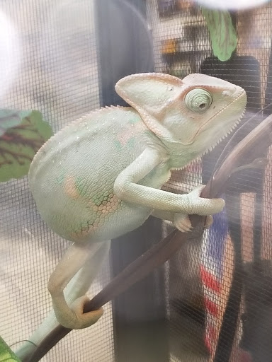 Garden Center «Liberty Agway Home & Garden Center», reviews and photos, 11 Bon Jovi Ln, Liberty, NY 12754, USA