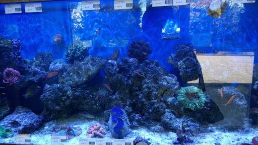 Tropical Fish Store «Richmond Aquarium», reviews and photos, 3645 Speeks Dr, Midlothian, VA 23112, USA