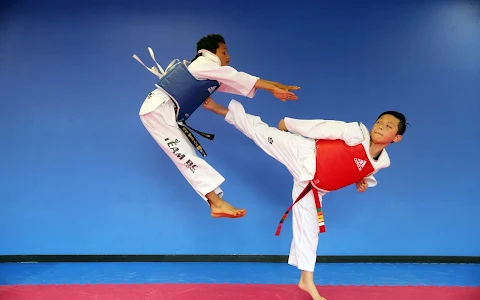 OMAC Taekwondo image