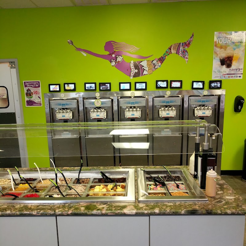 The Skinny Dip Frozen Yogurt Bar