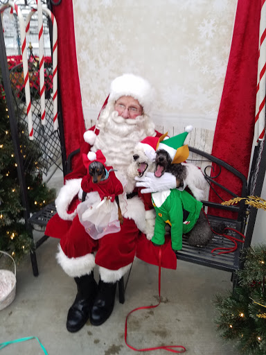 Florist «Meier Flowerland & Greenhouse», reviews and photos, 8087 Grand River Ave, Brighton, MI 48114, USA