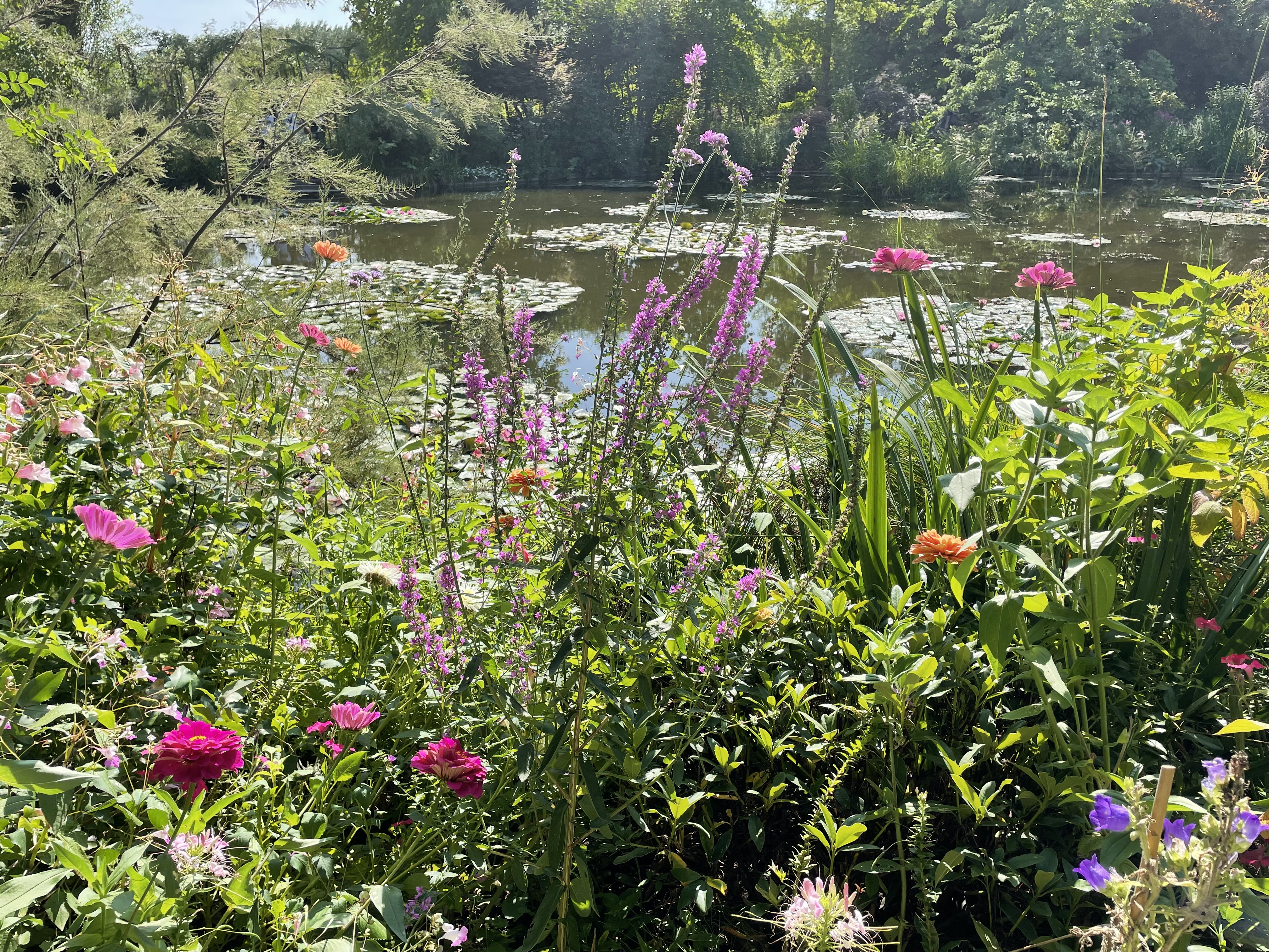 Photo n° 2 de l'avis de Raphaëlle.. fait le 02/09/2022 à 11:04