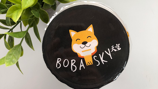 Boba Sky, LLC