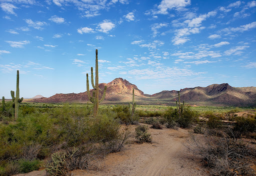 Maricopa Trail