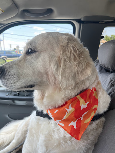 Pet Supply Store «EarthWise Pet Supply & Grooming», reviews and photos, 245 Fries Mill Rd, Blackwood, NJ 08012, USA