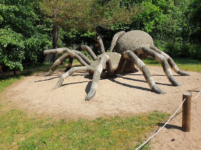 Rodzinny Park Rozrywki Owadogigant w Lubnicy - Muzeum