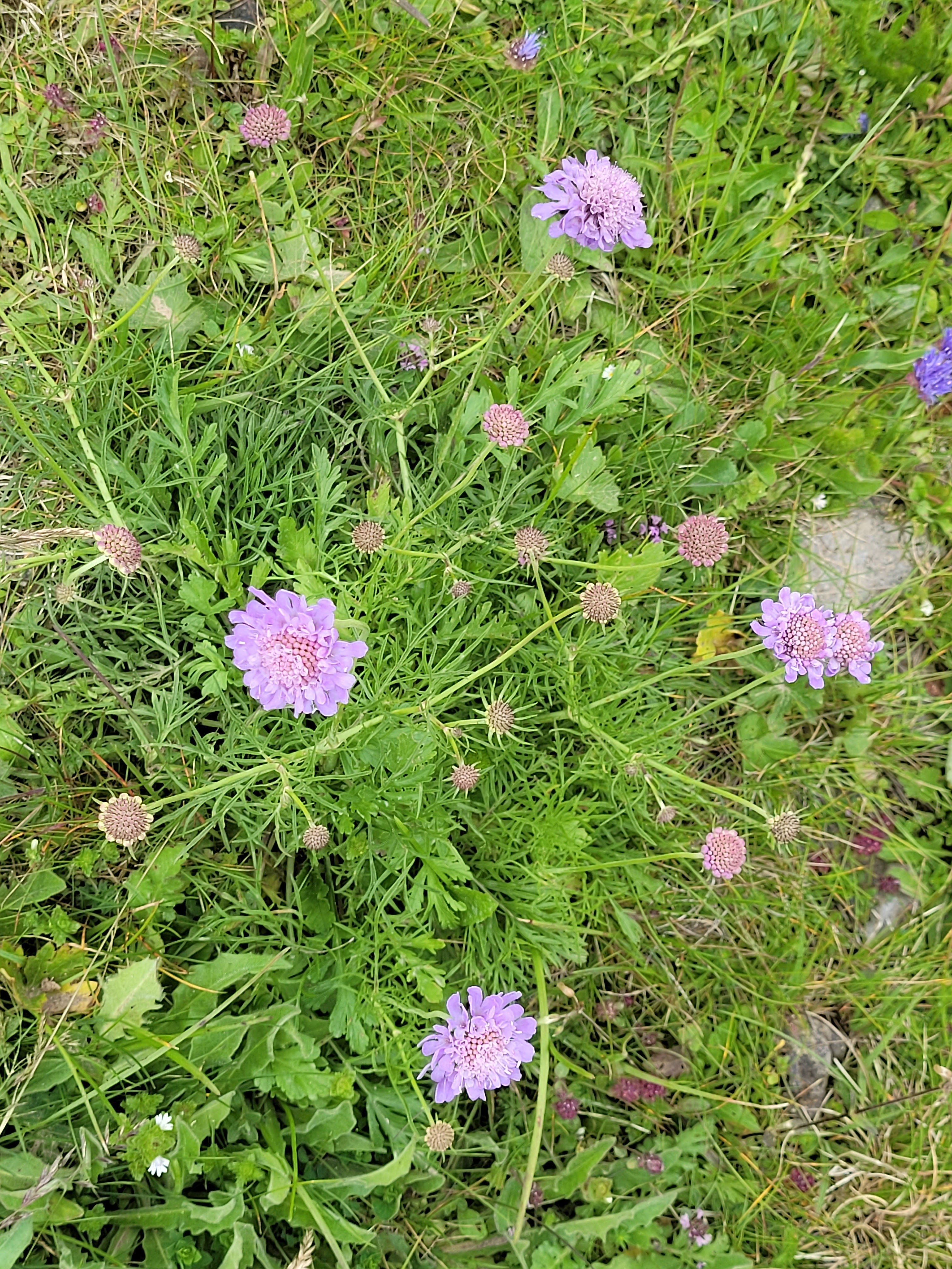Photo n° 23 de l'avis de Anne.a fait le 26/07/2023 à 16:25
