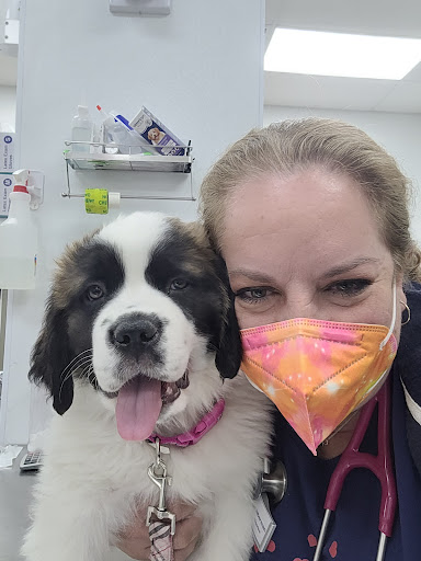 Pet Supply Store «Pet Club Cave Creek», reviews and photos, 4725 E Carefree Hwy, Cave Creek, AZ 85331, USA