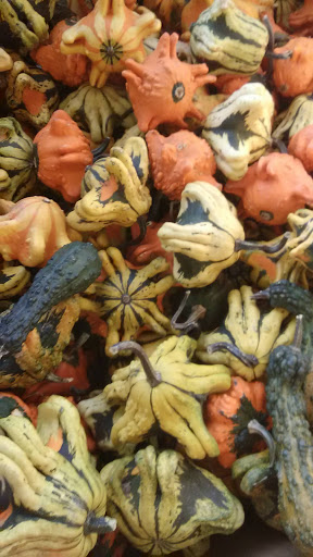 Produce Market «Poor Boys Produce & Vegetable», reviews and photos, 263 US-158, Camden, NC 27921, USA