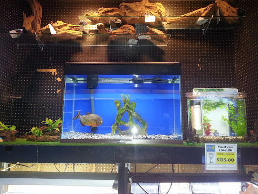 Pet Store «Laconia Pet Center», reviews and photos, 1343 Union Ave, Laconia, NH 03246, USA