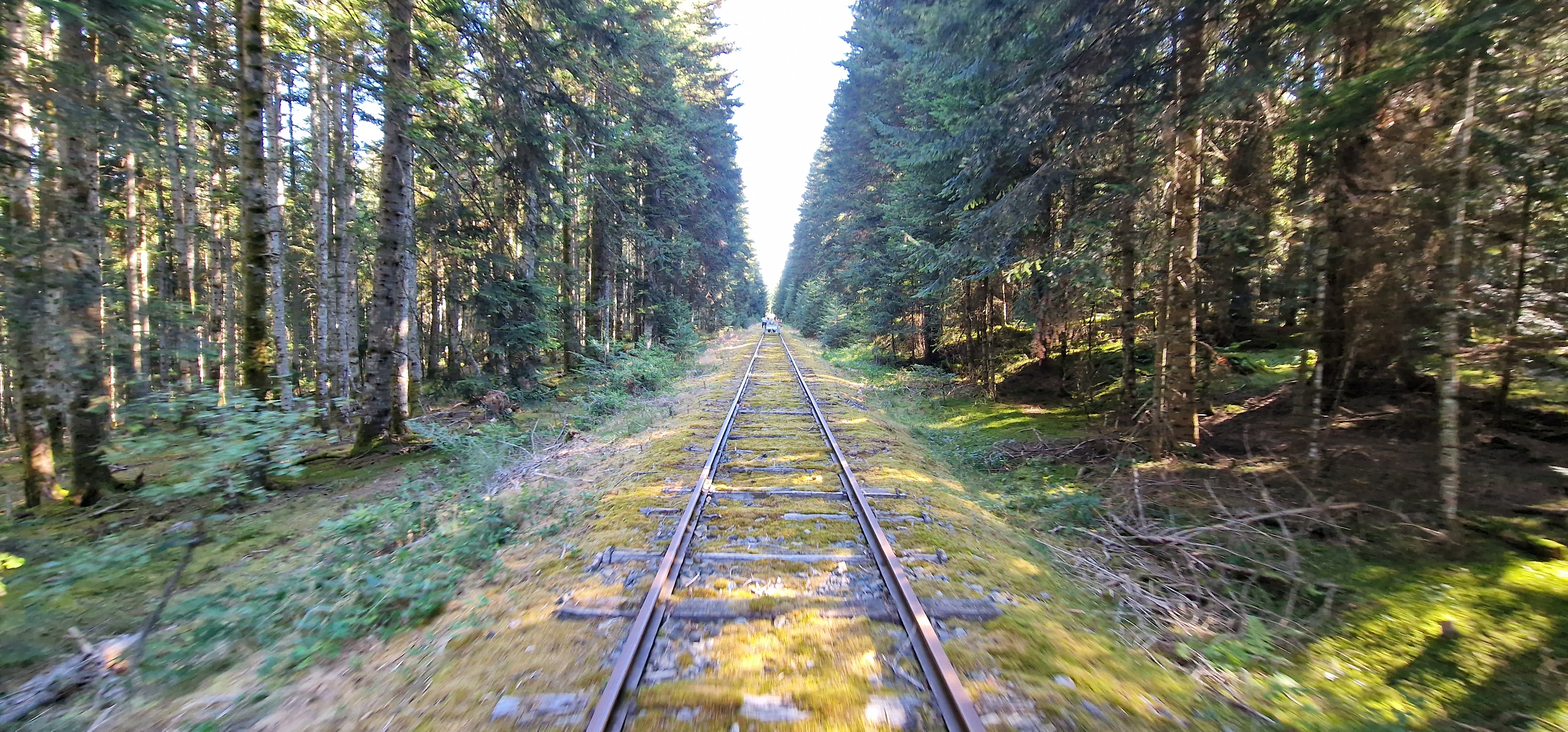 Photo n° 1 de l'avis de Julien.H fait le 09/08/2022 à 18:04
