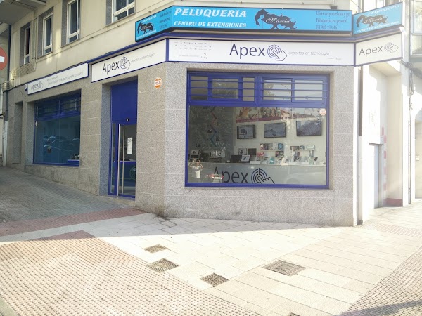 Apex