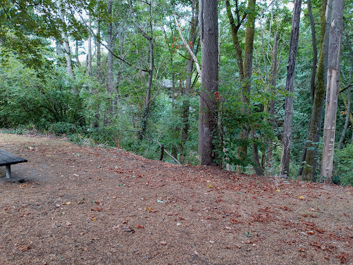 Park «Cowen Park», reviews and photos, 5849 15th Ave NE, Seattle, WA 98105, USA