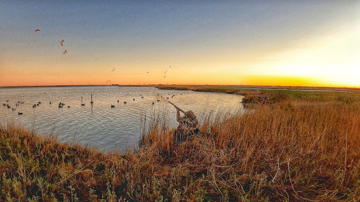 Canoe & Kayak Store «Austin Canoe & Kayak», reviews and photos, 4554 S Interstate Hwy 35, San Marcos, TX 78666, USA