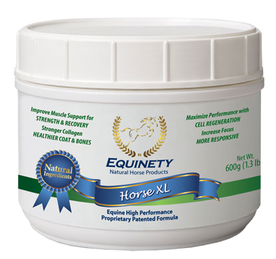 Tack Shop «Equine Exchange Tack Shop», reviews and photos, 1251 Ridge Rd, Pottstown, PA 19465, USA