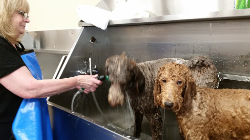 Pet Supply Store «Lemos Feed & Pet Supply», reviews and photos, 1320 Main St, Morro Bay, CA 93442, USA