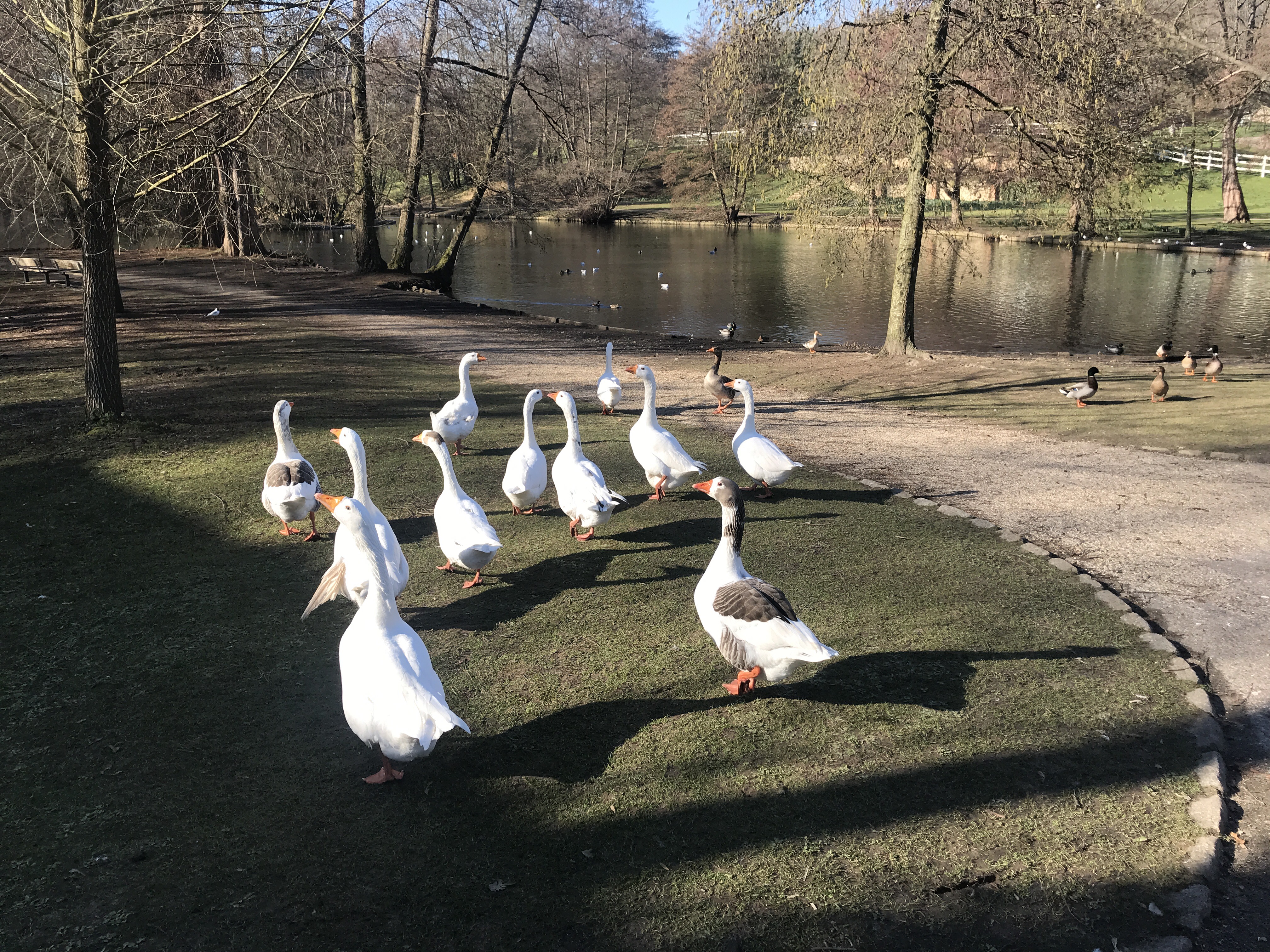 Photo n° 2 de l'avis de Kevin.e fait le 15/02/2019 à 13:05