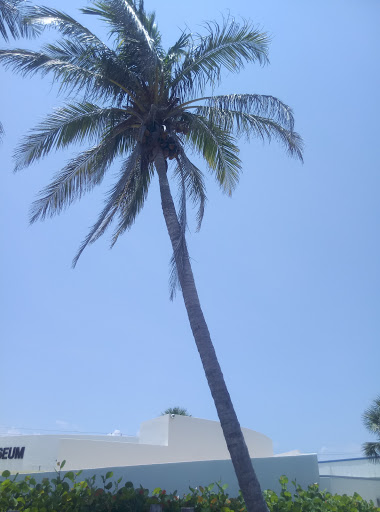 Museum «Navy UDT-SEAL Museum», reviews and photos, 3300 N Hwy A1A, Fort Pierce, FL 34949, USA